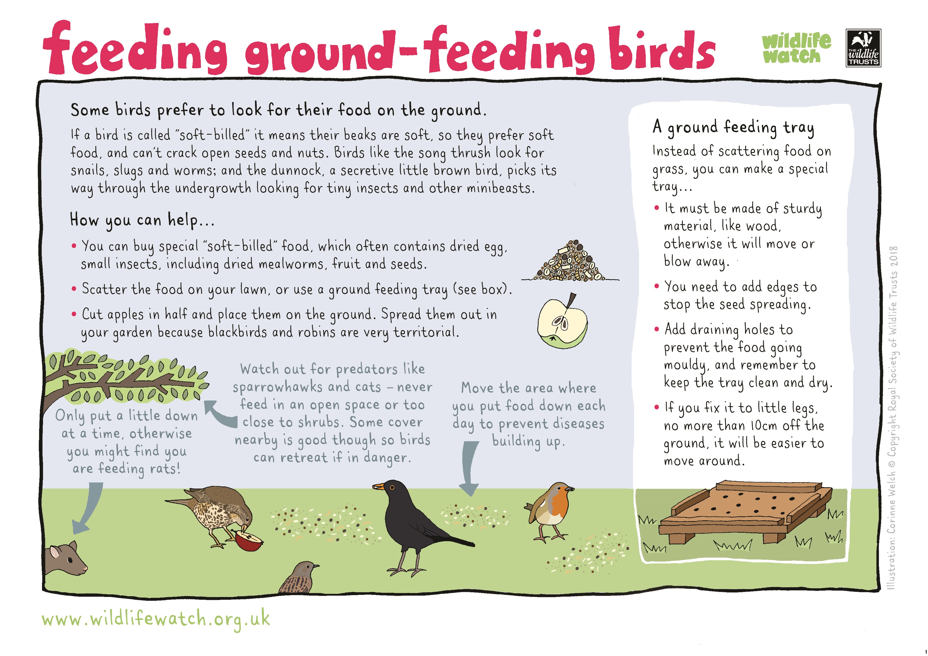 Home schooling with nature | The Wildlife Trust for Lancashire
